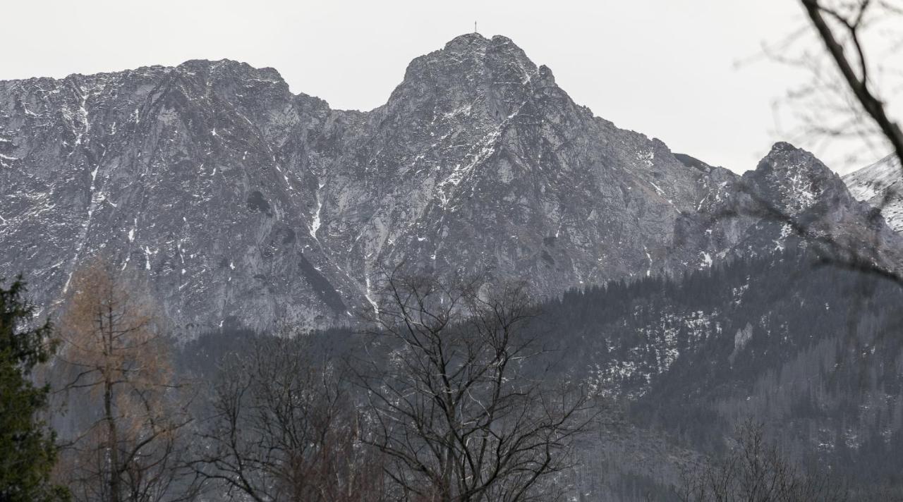 Twoja Chata Apartamenty Pod Niebem Zarezerwuj Na Podhalami Pl Kościelisko Dış mekan fotoğraf